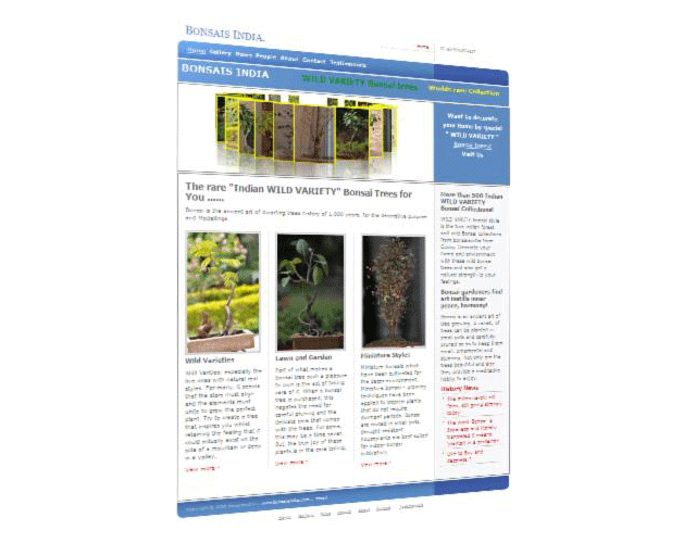 BonsaisIndia